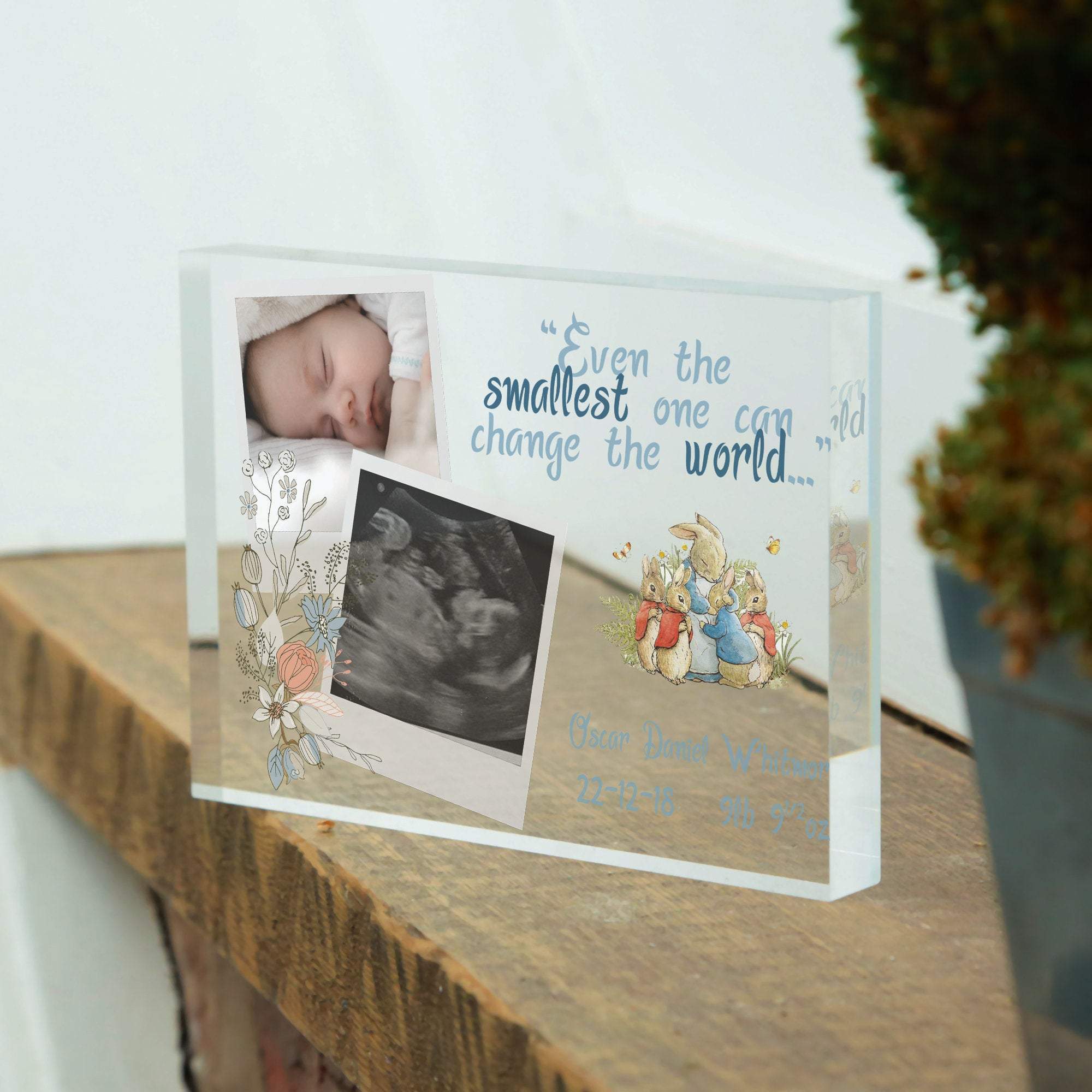 Peter Rabbit Nursery Print | First Birthday Gift | New Baby Photo Frame